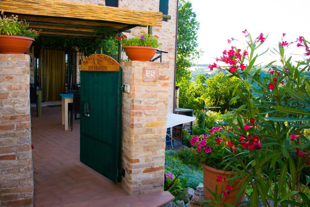 B&B Borgo Marano Cupra Marittima Exteriér fotografie