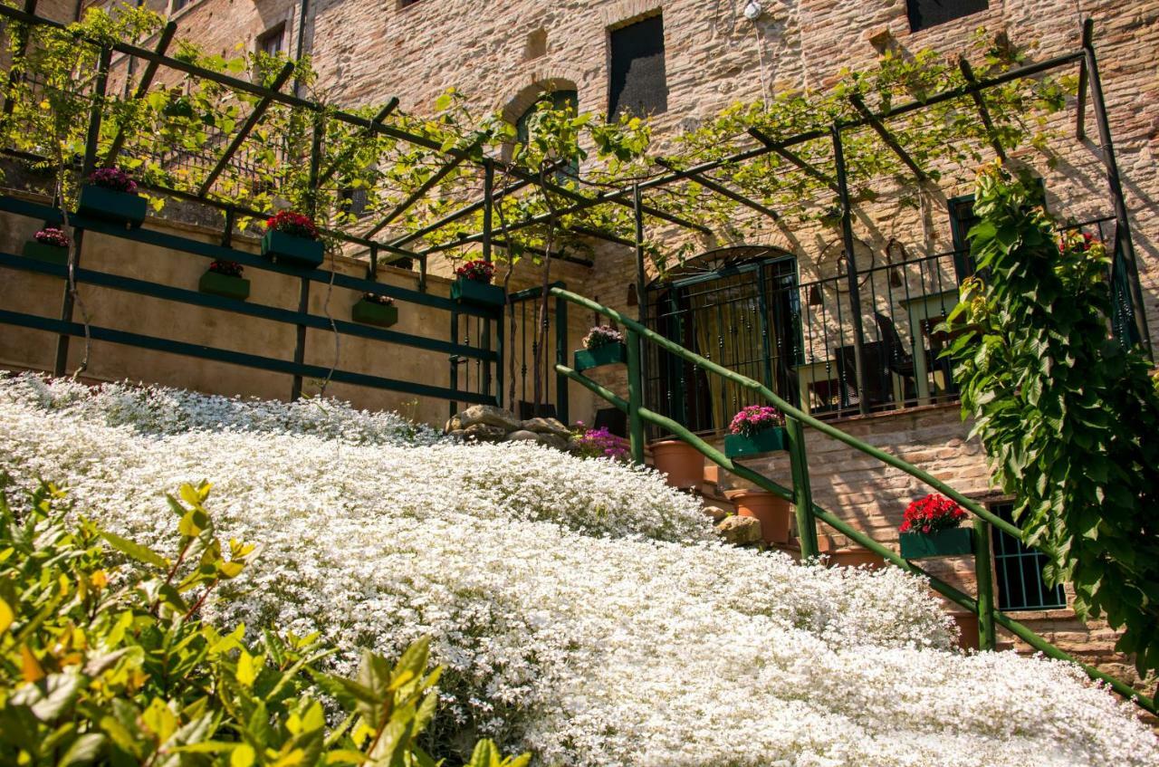 B&B Borgo Marano Cupra Marittima Exteriér fotografie